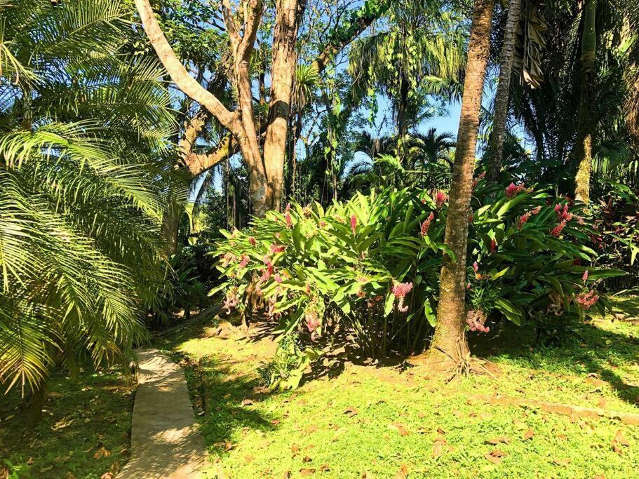 Villa Del Idaan Bocas del Toro Extérieur photo