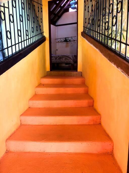 Villa Del Idaan Bocas del Toro Extérieur photo