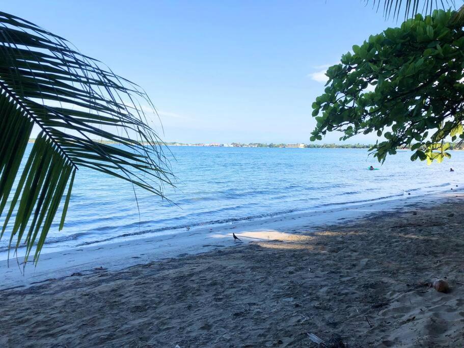 Villa Del Idaan Bocas del Toro Extérieur photo